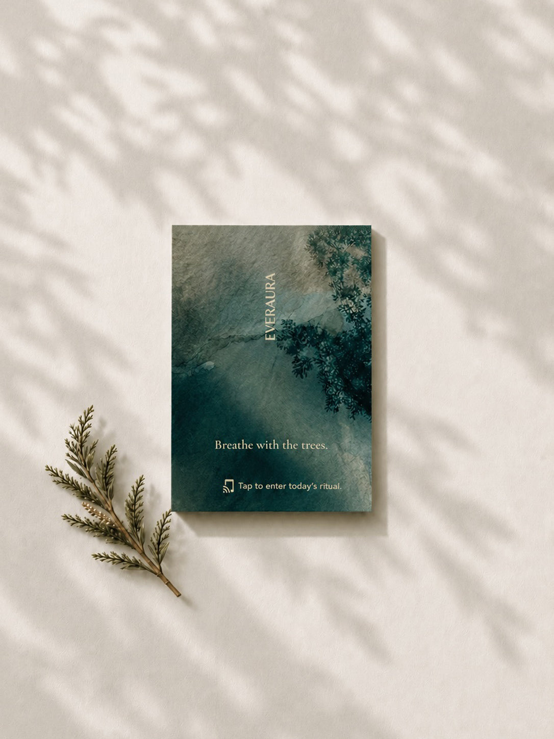 EverAura Grounding ritual card, Breathe with the trees, a misty forest design styled with a cedar sprig. A calming nature meditation scent card.